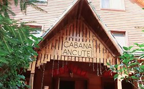 Cabana Ancutei